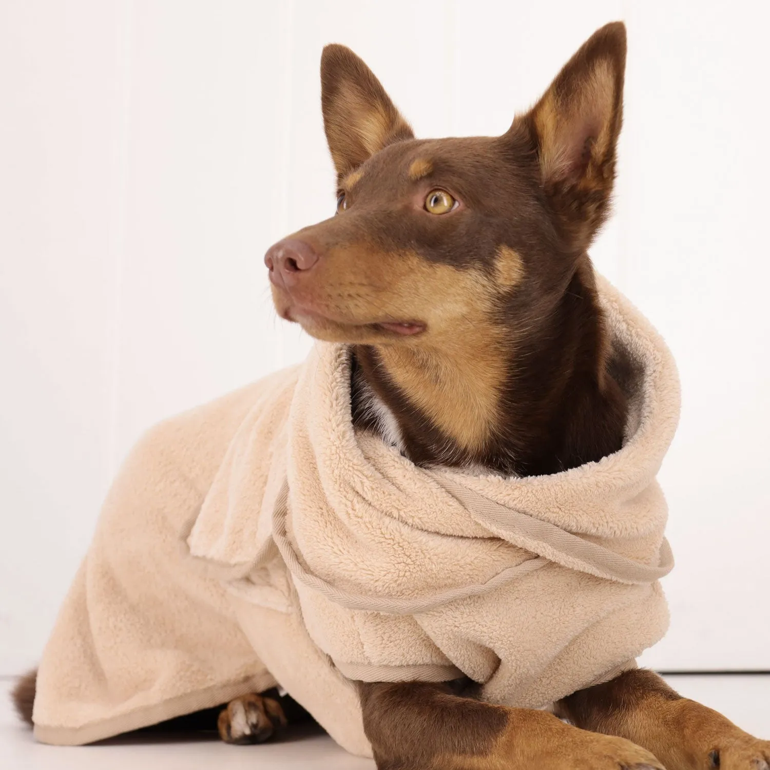 Dog Bath Robe and Towel Set