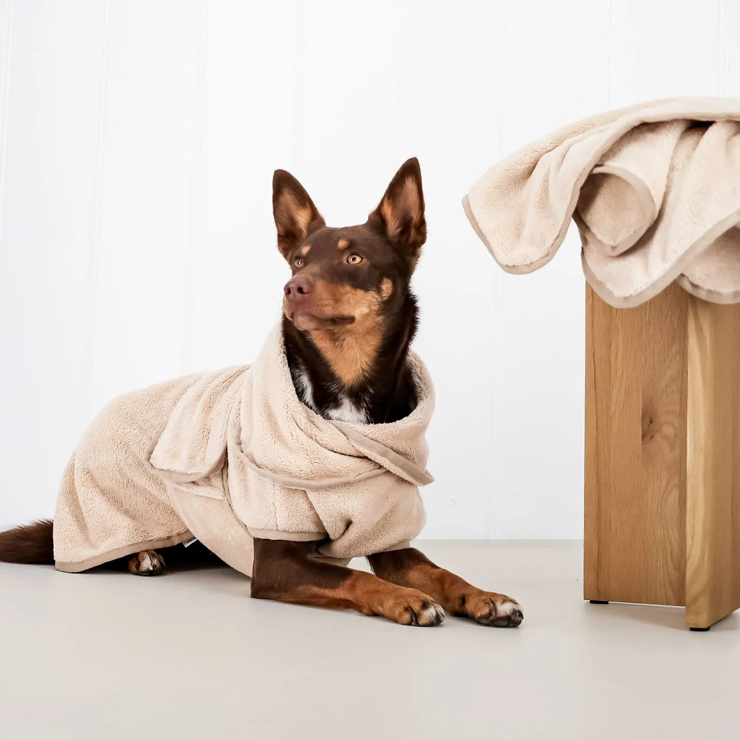 Dog Bath Robe and Towel Set